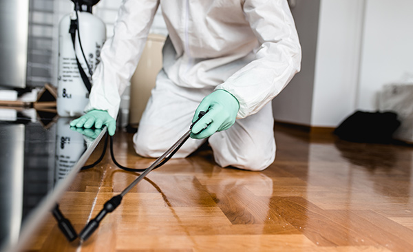 Best Pest Control Tips: Eliminate Pests Effectively!